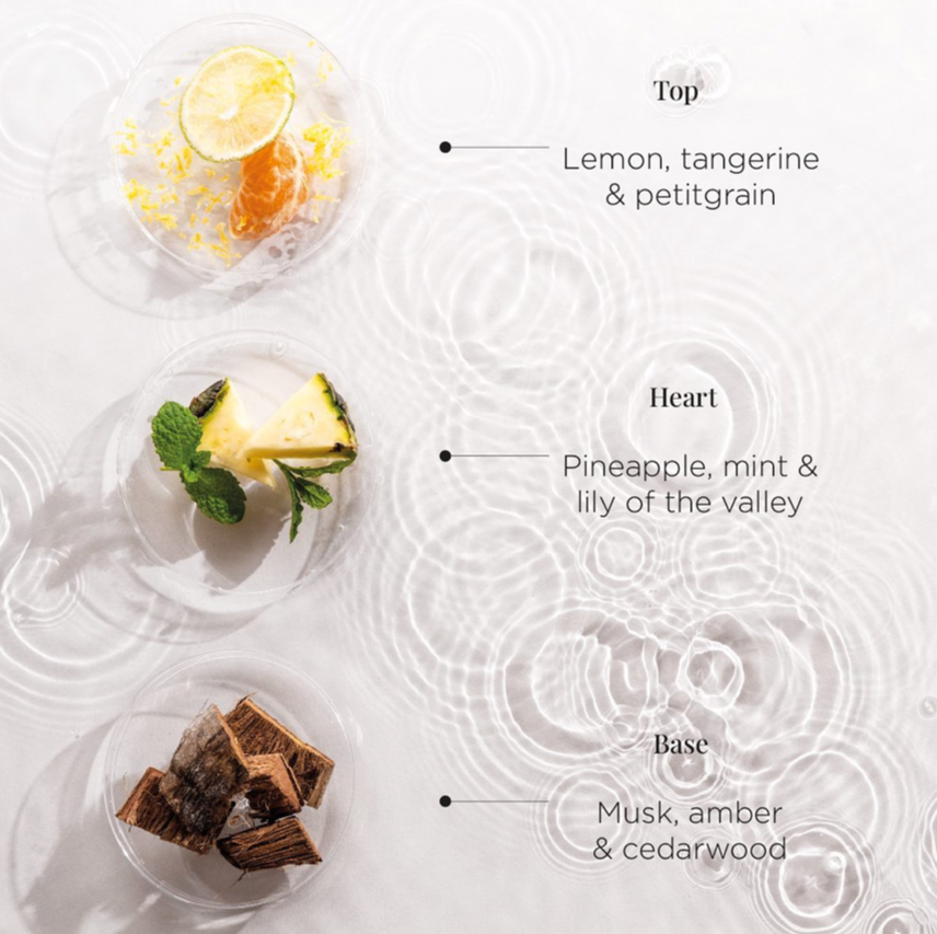 BOUGIES NATUREL NTENSE – Jardinico – Image 9