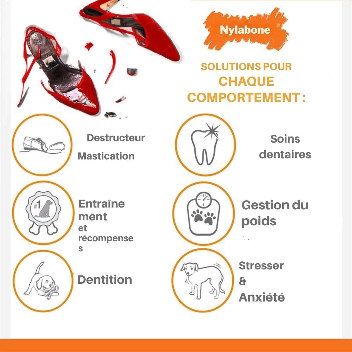 Jouets Clés de Dentition pour Chiens – Nylabone – Image 3